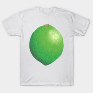 Lime Citrus Fruit Green Pattern Leaf T-Shirt